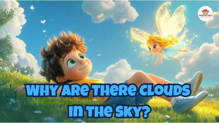 Why Are There Clouds in the Sky